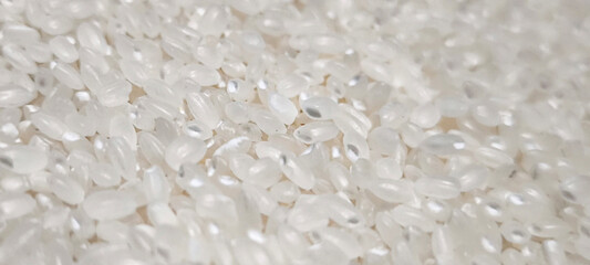 Close up of japanese rice. Japanese rice grains for background. Sushi Ingredients.
