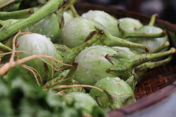 Thai eggplant is a vegetable in the fresh market.