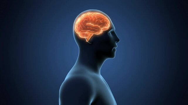 spinning yellow brain animation with excellent quality
