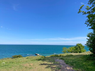 Fototapeta premium Panorama of a well-trodden path that breaks the forest strip towards the sea coast under a cloudless sky.