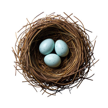 Top view of a bird s nest with three blue speckled eggs.