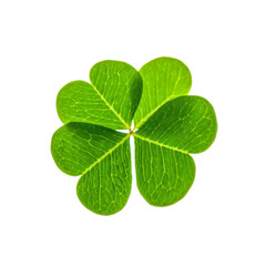 Bright green four leaf clover symbol of luck isolated on white.