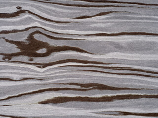 Fossil forest veneer surface with flowing lines in earthy espresso and misty grey tones.