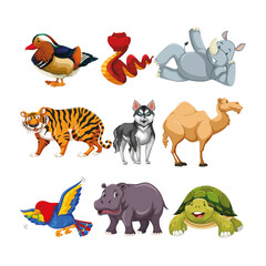 Cute animals collection: farm animals, wild animals, marina animals isolated on white background. Vector illustration design template