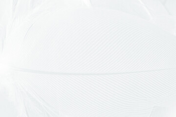 Gray white feather wooly pattern texture background