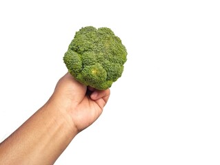Man hand holding fresh broccoli isolated on white background 