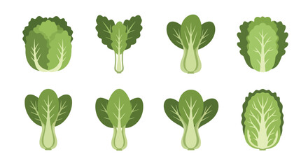 Assorted Green Leafy Vegetables - Flat Vector Illustration