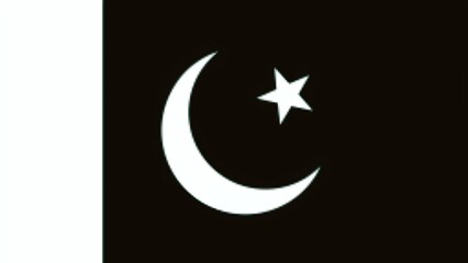 Elegant Pakistan National Flag Background with Smooth Fabric Texture and Symbolic Elements

