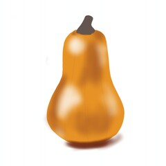 Pumpkin illustration isolated on white