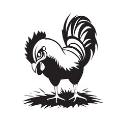 Rooster Grass Field Vectors on transparent background.