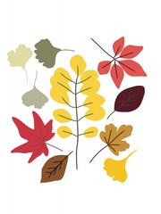 set of autumn leaves