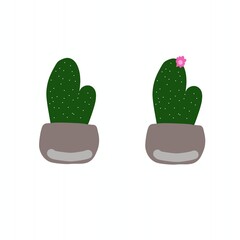 cactus vector illustration
