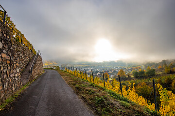 The Moselle loop, a beautiful river in Germany, makes a 180 degree loop. with vineyards and a great...