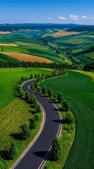 Winding asphalt road through lush green rolling hills and agricultural fields under a blue sky