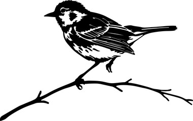 Bird Silhouette on Branch Vector, Perched Bird Silhouette Art, Elegant Bird Vector Design, Black Bird on Tree Branch Vector, Bird Silhouette Illustration, Nature Bird Vector Art, Songbird Silhouette V
