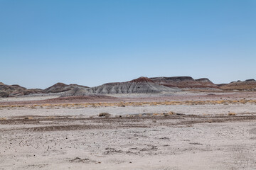 Historic Blue Forest Trailhead, Petrified Forest National Park, Arizona. Desert varnish. Chinle Formation, Blue Mesa Member. Mudstone with minor siltstone and sandstone.


