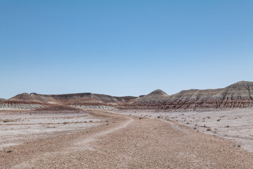 Historic Blue Forest Trailhead, Petrified Forest National Park, Arizona. Desert varnish. Chinle Formation, Blue Mesa Member. Mudstone with minor siltstone and sandstone.


