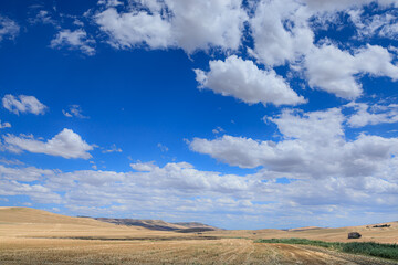 Summer landscape with rolling reaped fields in Puglia, Italy: abandoned farmhouses and hay bales in...