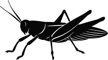  grasshopper silhouette vector illustration