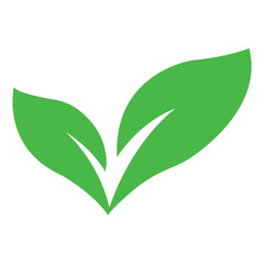 Leaves icon vector, organic leaf icon vector in green color flat trendy style illustration isolated on white background.