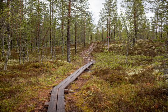 Schweden Wanderweg Naturpark Moose Sommer