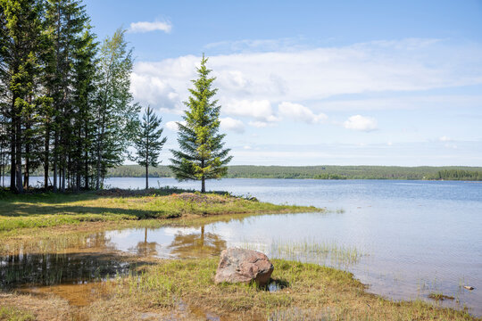 Schweden See Wald Sommer Natur