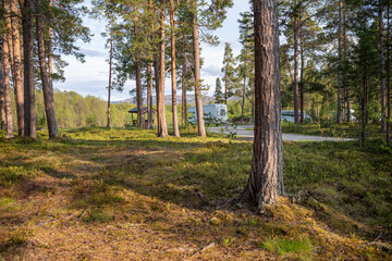 Schweden Wald Wohnmobile Sonnenschein Natur