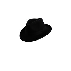 Classic black fedora hat isolated on transparent background with sharp details and sleek design