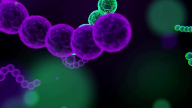 medical cell bacteria virus diseases purple streptococcal bacteria