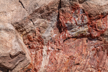 Araucarioxylon arizonicum. Petrified wood is a special type of fossilized wood, the fossilized remains of terrestrial vegetation. Blue Mesa Scenic Rd,  Petrified Forest National Park, Arizona	