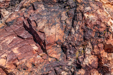 Araucarioxylon arizonicum. Petrified wood is a special type of fossilized wood, the fossilized remains of terrestrial vegetation. Blue Mesa Scenic Rd,  Petrified Forest National Park, Arizona	