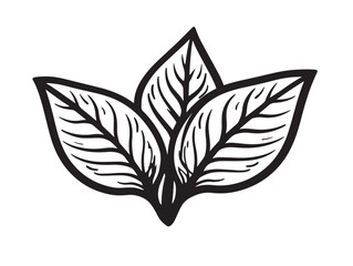 Wholesome Amaranth Leaf Drawing in Vector Style