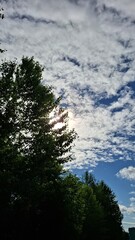 It's a summer day, with white clouds floating in the blue sky, the sun shining through the clouds, and trees with green leaves swaying in the wind.