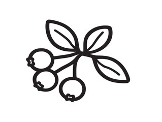 Tasty Aronia Berry Icon with Line Art