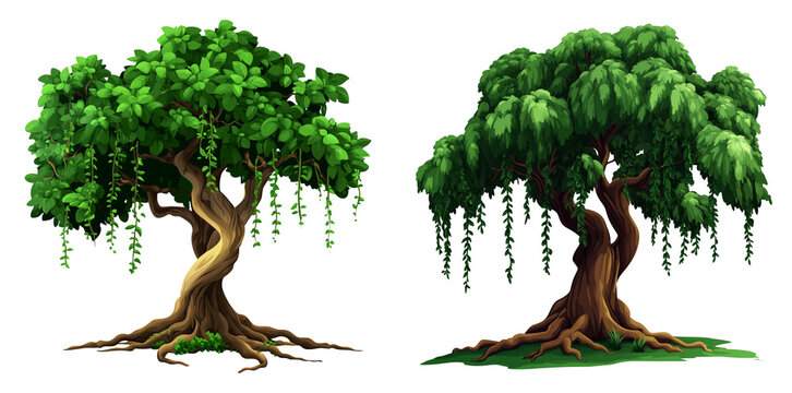 Old trees with twisted roots isolated on transparent PNG image ideal for fantasy forest scenes or ancient nature illustrations