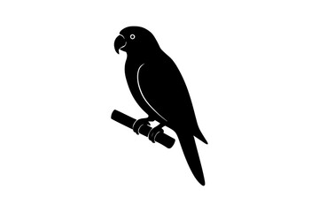 Obraz premium Black Silhouette of a Parrot Perched on a Branch