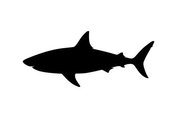 Obraz premium Black Silhouette of a Shark Swimming Side View