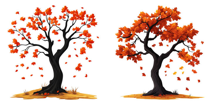 Autumn trees with orange and red leaves isolated on transparent PNG image perfect for fall illustrations or seasonal graphic design