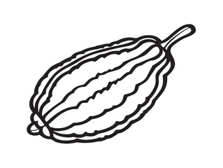 Fresh Bitter Gourd 2D Vegetable Line Icon
