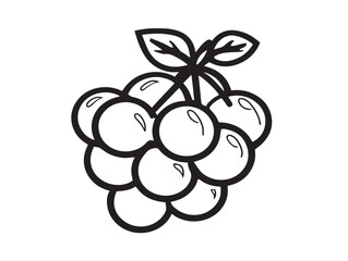 Healthy Blueberry Clean Vector Fruit Illustration