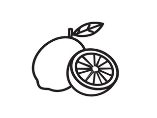 Fresh Calamansi Lime Icon in Modern Line Style