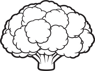 Natural Cauliflower Vegetable in Fine Line Art