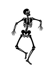 Dancing skeleton on a transparent background
