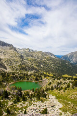 Summer landscape in Vall de Boi in Aiguestortes and Sant Maurici National Park, Spain