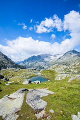 Summer landscape in Vall de Boi in Aiguestortes and Sant Maurici National Park, Spain