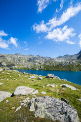Summer landscape in Vall de Boi in Aiguestortes and Sant Maurici National Park, Spain