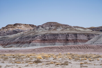 Historic Blue Forest Trailhead, Petrified Forest National Park, Arizona. Desert varnish. Chinle Formation, Blue Mesa Member. Mudstone with minor siltstone and sandstone.

