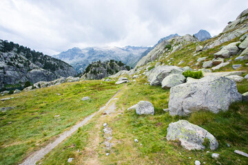 Summer landscape in Vall de Boi in Aiguestortes and Sant Maurici National Park, Spain