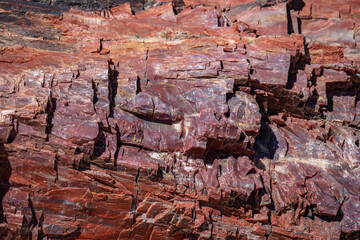 Araucarioxylon arizonicum. Petrified wood is a special type of fossilized wood, the fossilized remains of terrestrial vegetation. Petrified Forest National Park, Arizona
