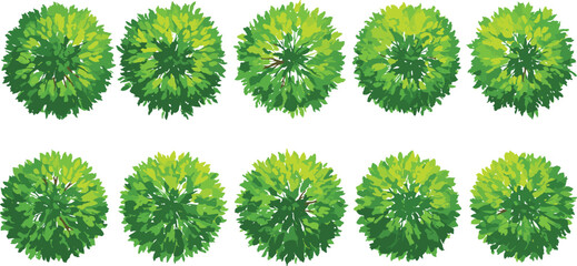 Top view green tree set, round foliage elements, landscape design, vector garden trees, isolated leaf textures for architectural planning.

